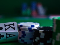 Huwa winstar casino lukanda pet friendly
