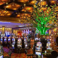 Dania casino divertiment ħajjin